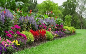 organic-flower-garden-budget-main_1000