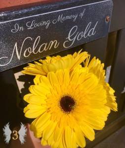 70933399_10220374475977561_9042356216348540928_o